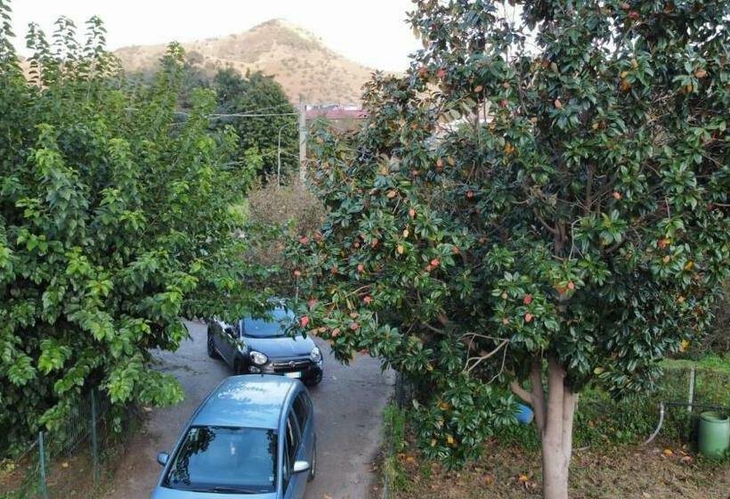 Номер Стандарт с Террасой, Mezzaluna Guest House