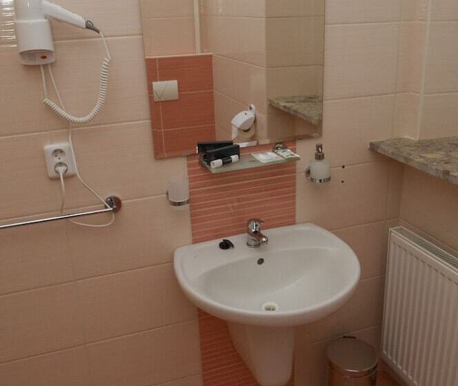 חדר סטנדרט יחיד, Mini Hotel Akord