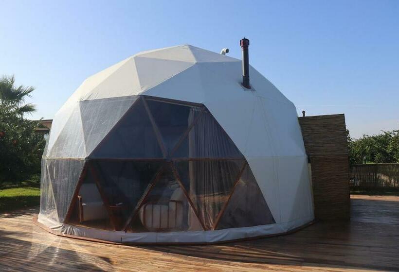 Номер Стандарт Вид на Сад, Mandalin Glamping