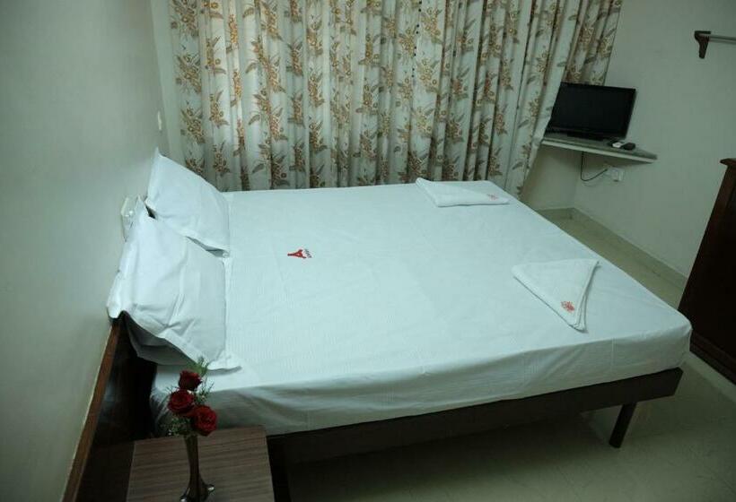 Номер Deluxe, Ashish Tourist Home