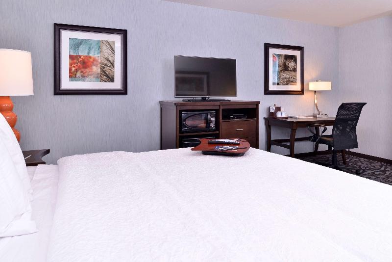스탠다드 룸 킹사이즈 침대, Hampton Inn Rome