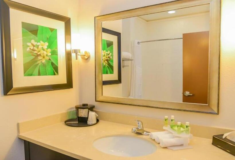 חדר סטנדרט עם מיטת קינג, Holiday Inn Express Hotels & Suites Cuero, An Ihg