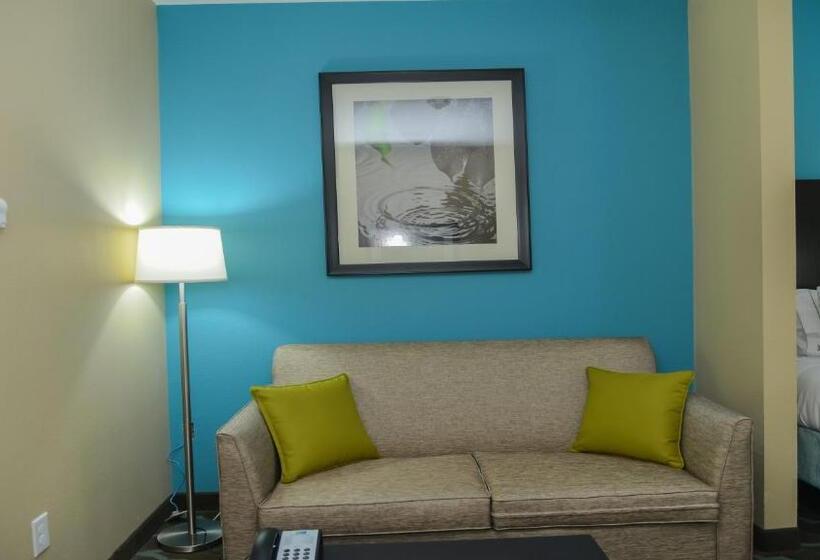 סוויטה מותאמת לאדם עם מוגבלויות, Holiday Inn Express Hotels & Suites Cuero, An Ihg