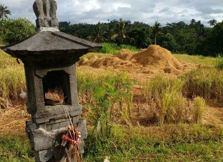 Номер Стандарт Индивидуальный, Bali Livin,tayehomestay
