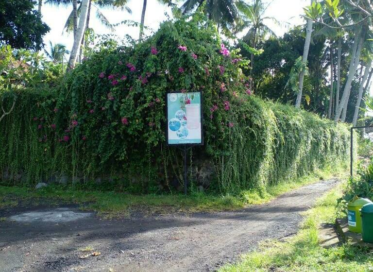 Номер Стандарт Индивидуальный, Bali Livin,tayehomestay