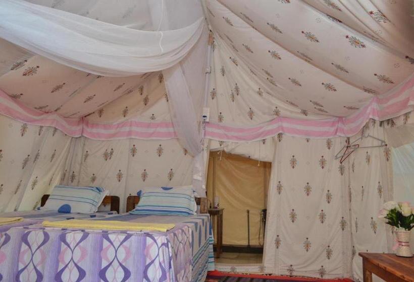 Standard Tent, Cola Beach Sunset Bay