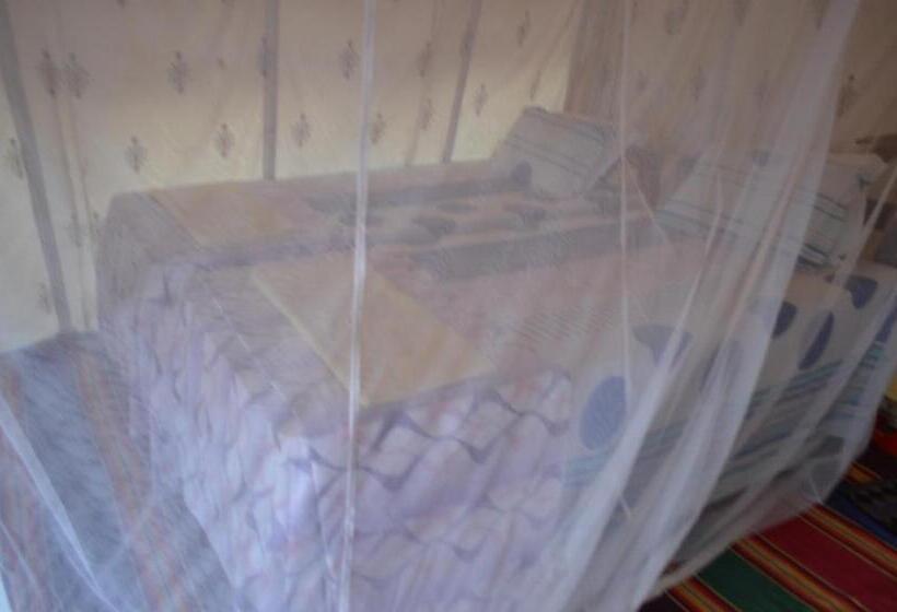 Standard Tent, Cola Beach Sunset Bay