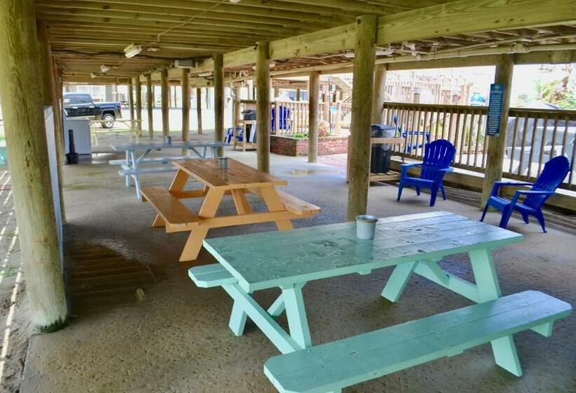 주니어 스위트, Blue Dolphin Inn And Cottages