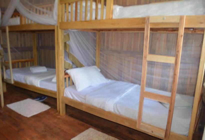 تختخواب در اتاق مشترک, Jinja Backpackers