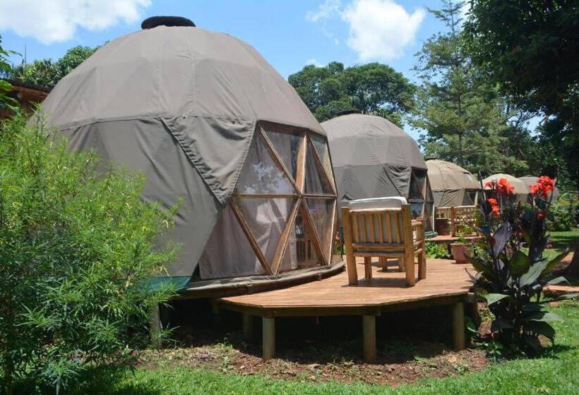چادر با خدمات رفاهی استاندارد, Jinja Backpackers