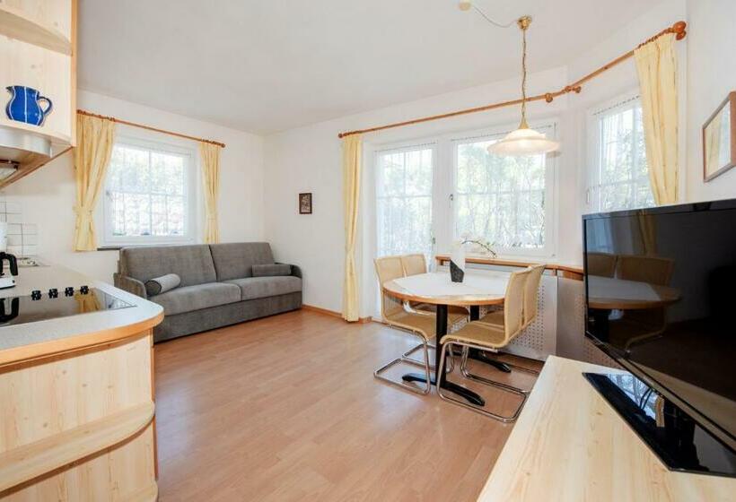 آپارتمان 1 خوابه با بالکن, Mareithof Appartements Seeblick