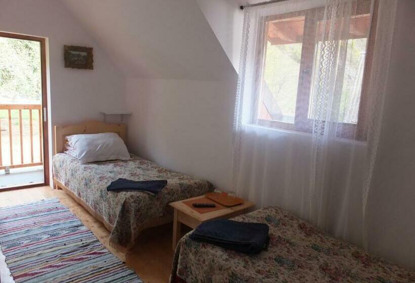 Номер Стандарт, Pensiunea Piatra Mandrutului