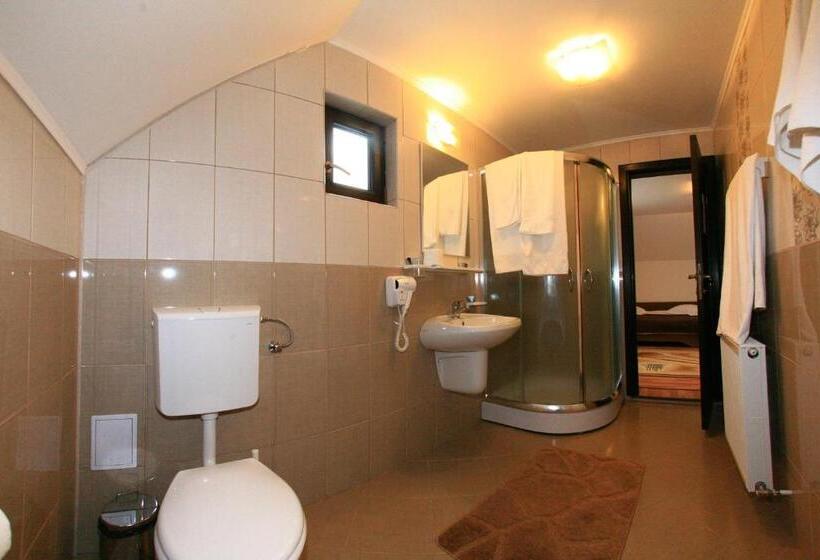Апартаменты 1 Спальня с Балконом, Casa Dintre Vai