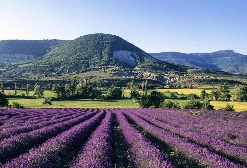 Номер Стандарт, Coeuraccords, Spa & Bien être Au Calme Naturiste Toute L Année