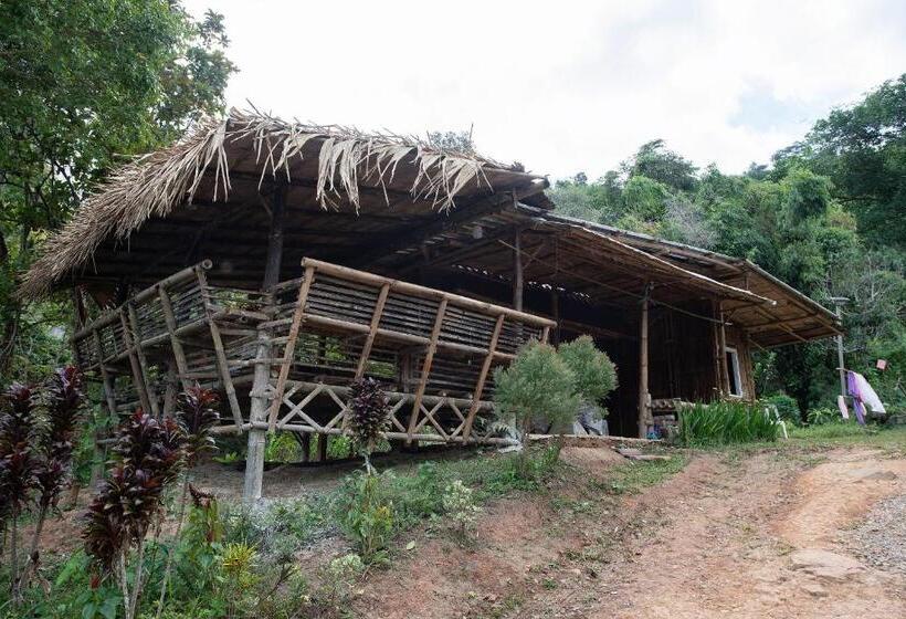اتاق خانوادگی با سرویس بهداشتی مشترک, Khaokhopimphupha Farmstay เขาค้อพิมภูผาฟาร์มสเตย์ ไม่มีไฟฟ้า น้ำจากน้ำตกธรรมชาติ Low Cabon With Sust