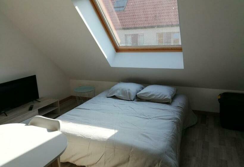Студия Стандарт, Studio Cosy