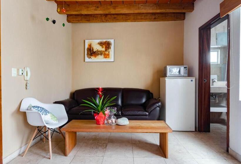 Suite amb Balconada, Olas Altas Suites Departamentos