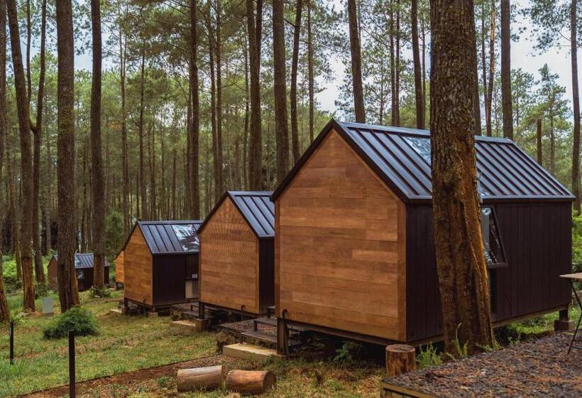 Номер Executive, Bobocabin Cikole, Bandung