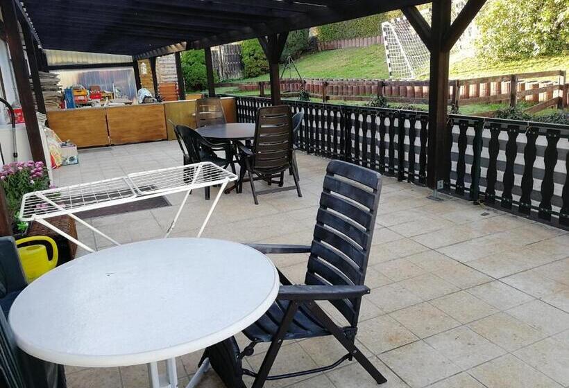 Одноместный Номер с Террасой, Gasthaus Hochwald