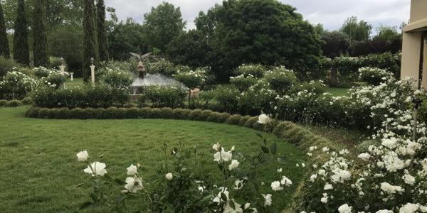 Deluxe Tent, Sanctuary Guest & Adventure Farm