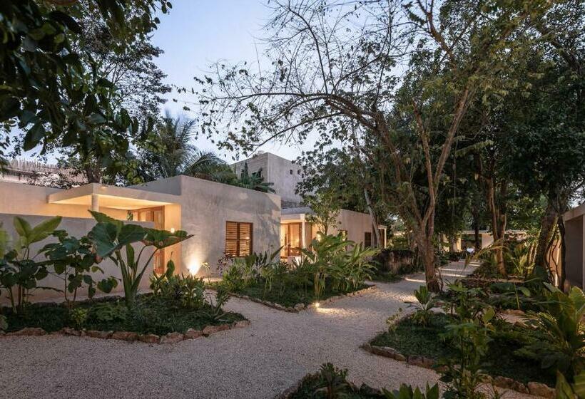 스탠다드 룸, Casona Los Cedros