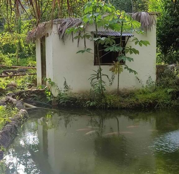 오두막, Hostal Amaní