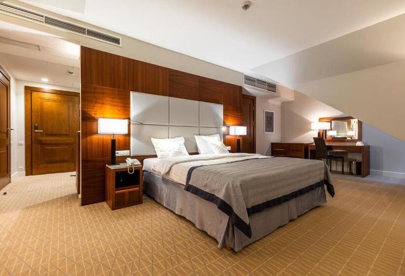 Superior room with lake view, Natura Mazur Resort & Conference