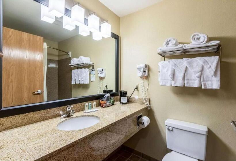 Номер Стандарт 2 Двуспальные Кровати, Quality Inn Killeen Near Fort Cavazos