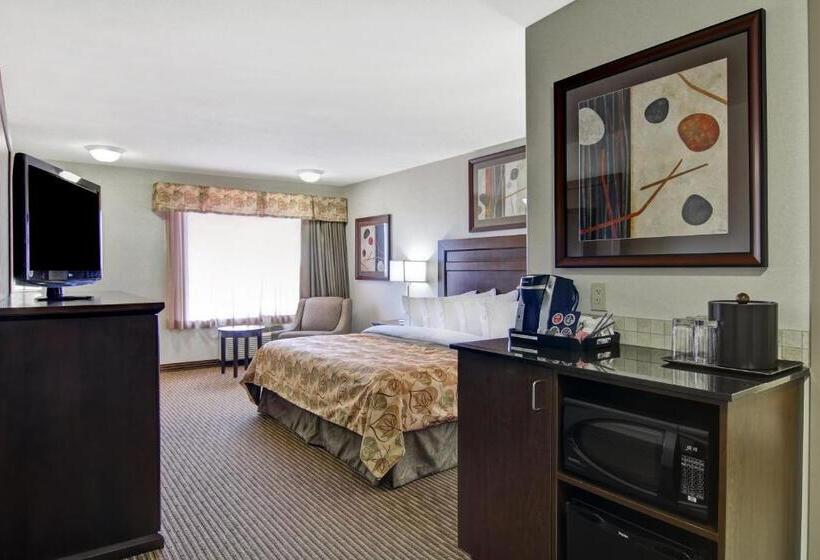 غرفة قياسية سرير كينج, Coast Weyburn