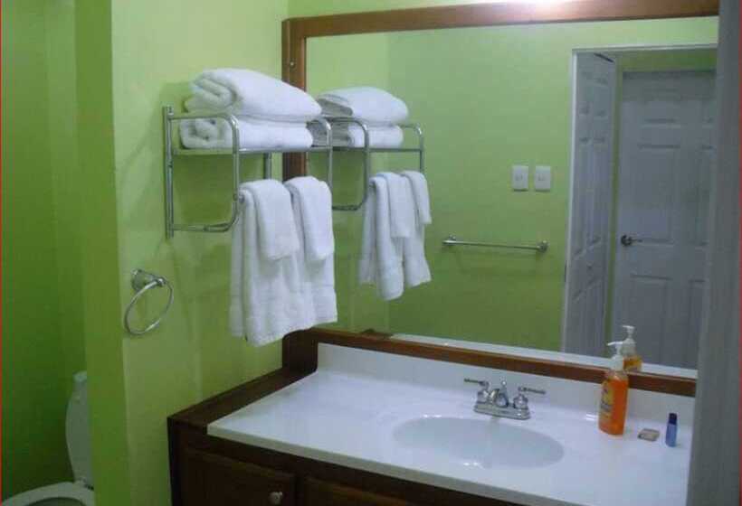 اتاق استاندارد سه نفره, Piarco Village Suites