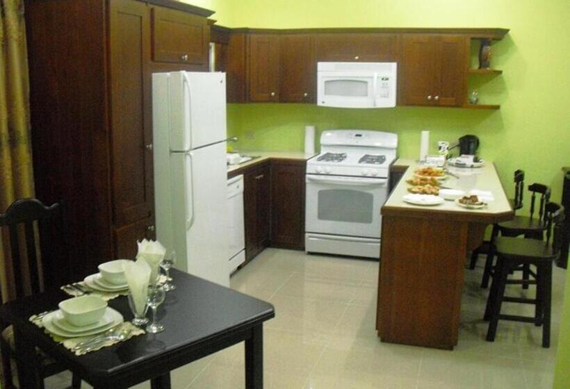 آپارتمان 1 خوابه, Piarco Village Suites