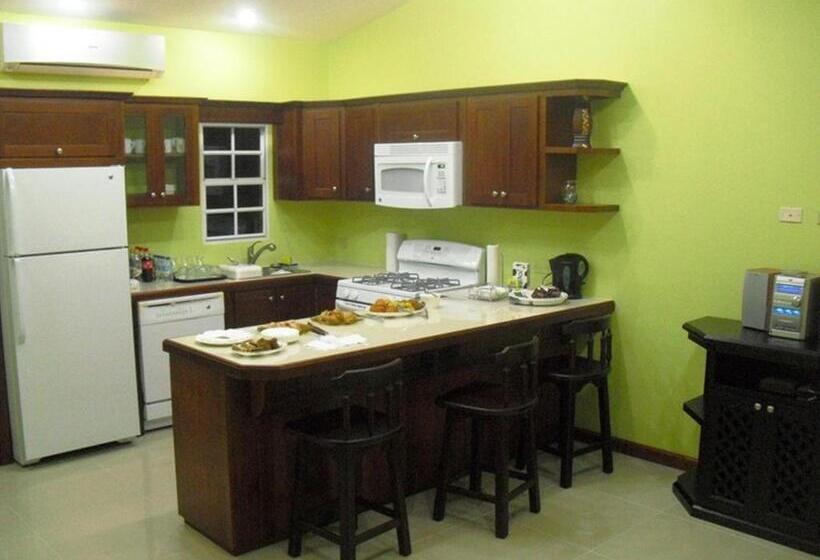 آپارتمان 1 خوابه, Piarco Village Suites