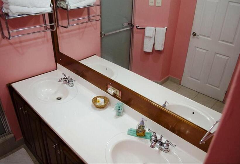 اتاق استاندارد سه نفره, Piarco Village Suites