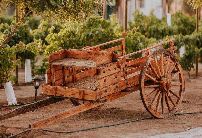 デラックスビラの１ベッドルーム, Hacienda Los Olivos, Valle De Guadalupe