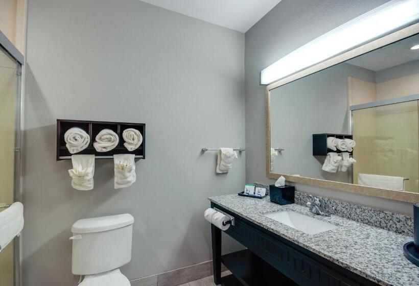 Номер Стандарт 2 Двуспальные Кровати, Best Western Casino Inn