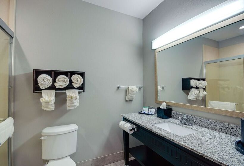 Номер Стандарт 2 Двуспальные Кровати, Best Western Casino Inn