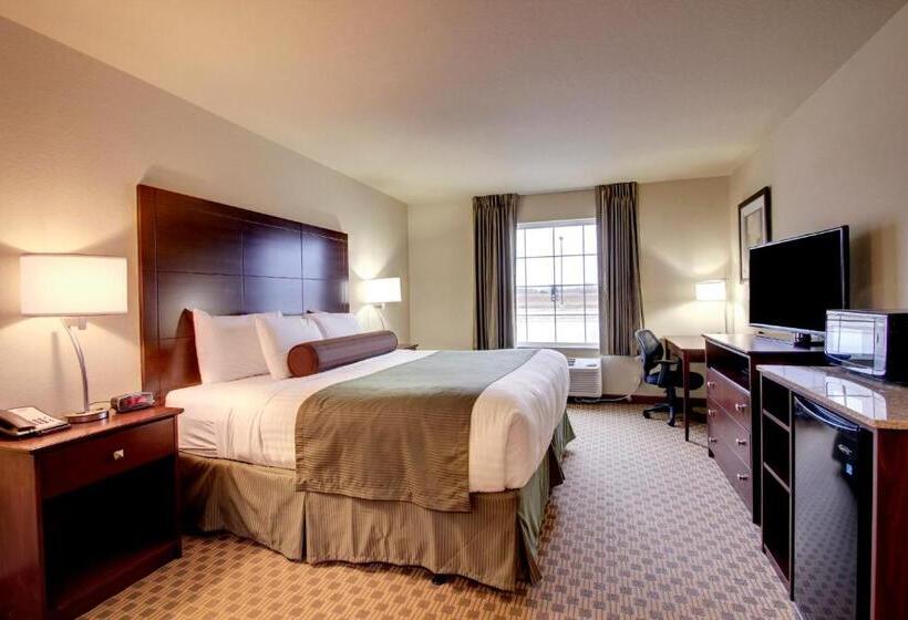 스탠다드 룸 킹사이즈 침대, Cobblestone Inn & Suites   Avoca