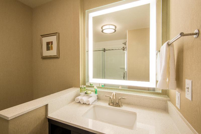 Стандартный Номер Кровать Кинг, Holiday Inn Express & Suites Denver South   Castle Rock, An Ihg