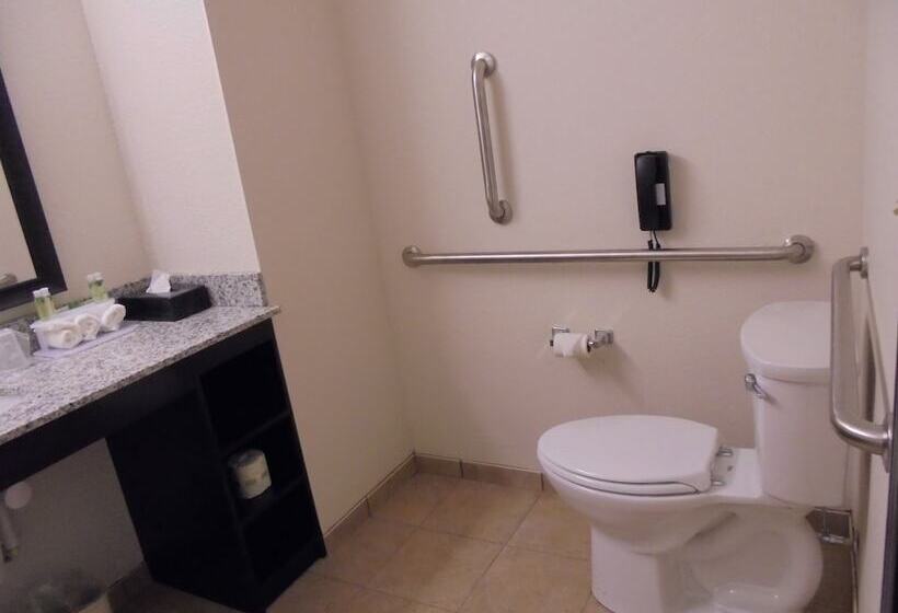 스위트, Holiday Inn Express & Suites Nevada, An Ihg