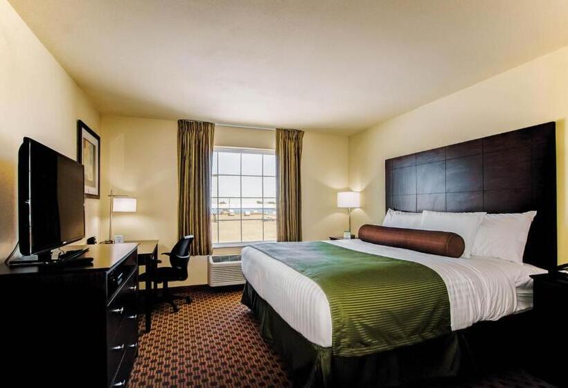 스탠다드 룸 킹사이즈 침대, Cobblestone Inn & Suites   Eads