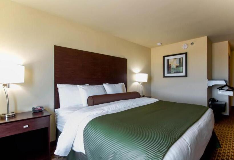 장애인을 위한 킹사이즈 침대 스탠다드 룸, Cobblestone Inn & Suites   Eads