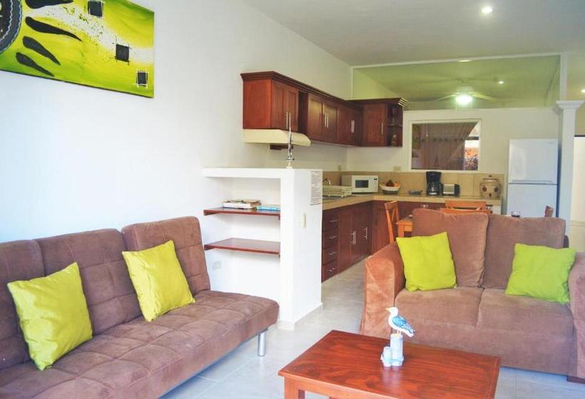جناح جونيور مطل على الحديقة, Corales Suites