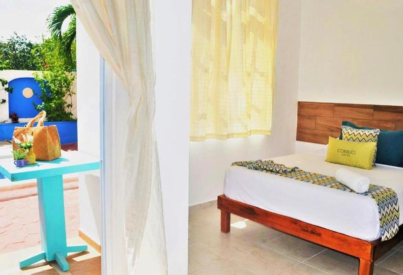 إستديو قياسى مطل على حمام السباحة, Corales Suites