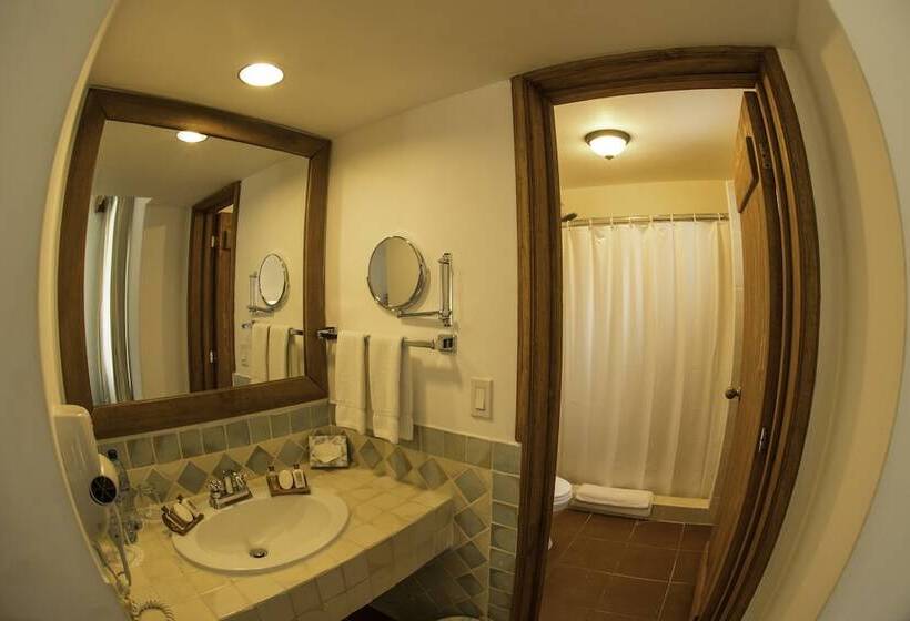 استودیوی استاندارد, Amatique Bay