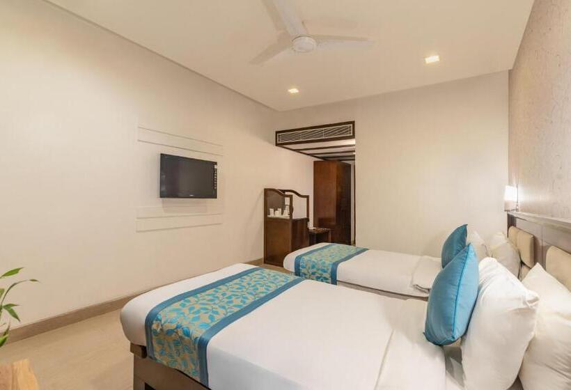 Quarto Estandar, Horizon