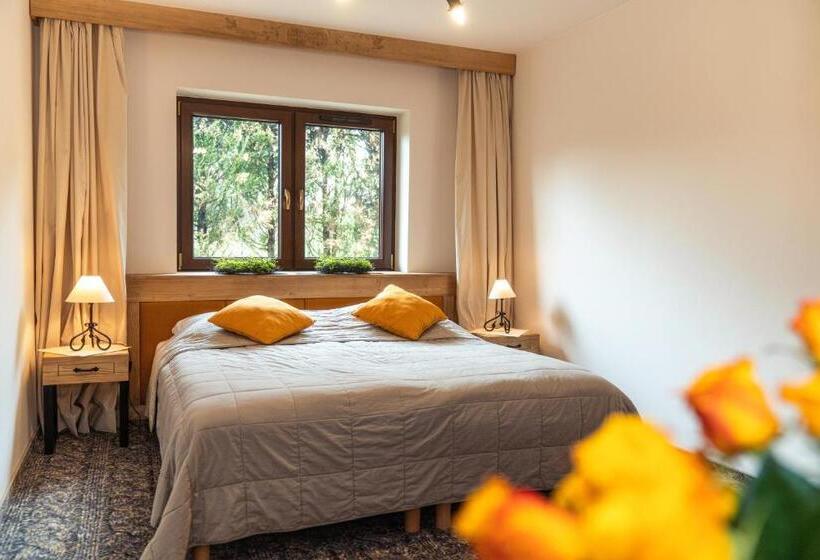 Студио Стандарт с Балконом, Pensjonat Litworówka Wellness&spa