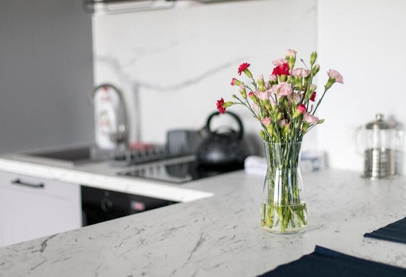 Студио Стандарт с Террасой, Apartamenty Zielona Lipka