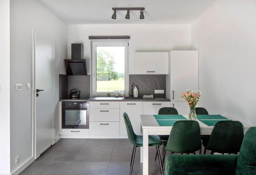 ドゥプレックスルーム, Apartamenty Zielona Lipka