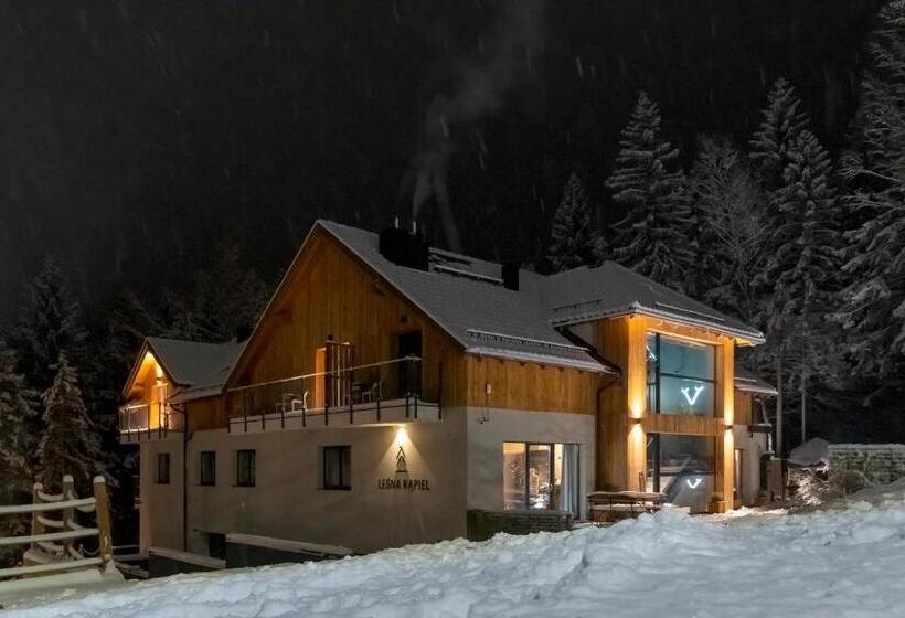 Апартаменты Deluxe 1 Спальня, Leśna Kąpiel