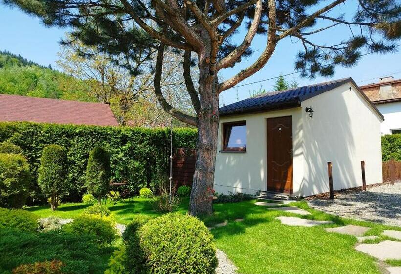Шале 1 Спальня, Molonówka Guest House
